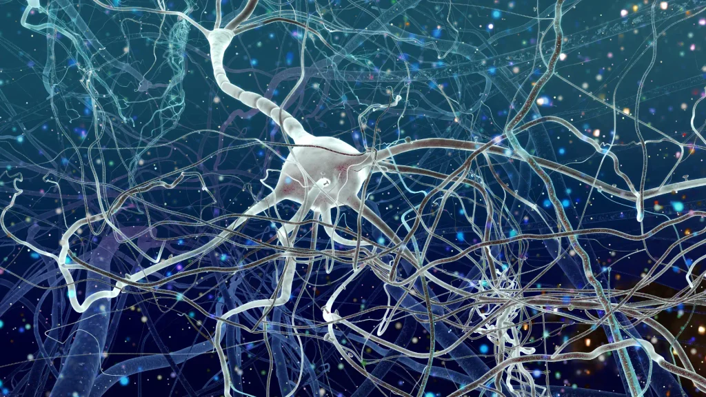 La testostérone peut influencer la signalisation dopaminergique Illustration 3D de neurones et de leurs prolongements interconnectés sur fond bleu.
