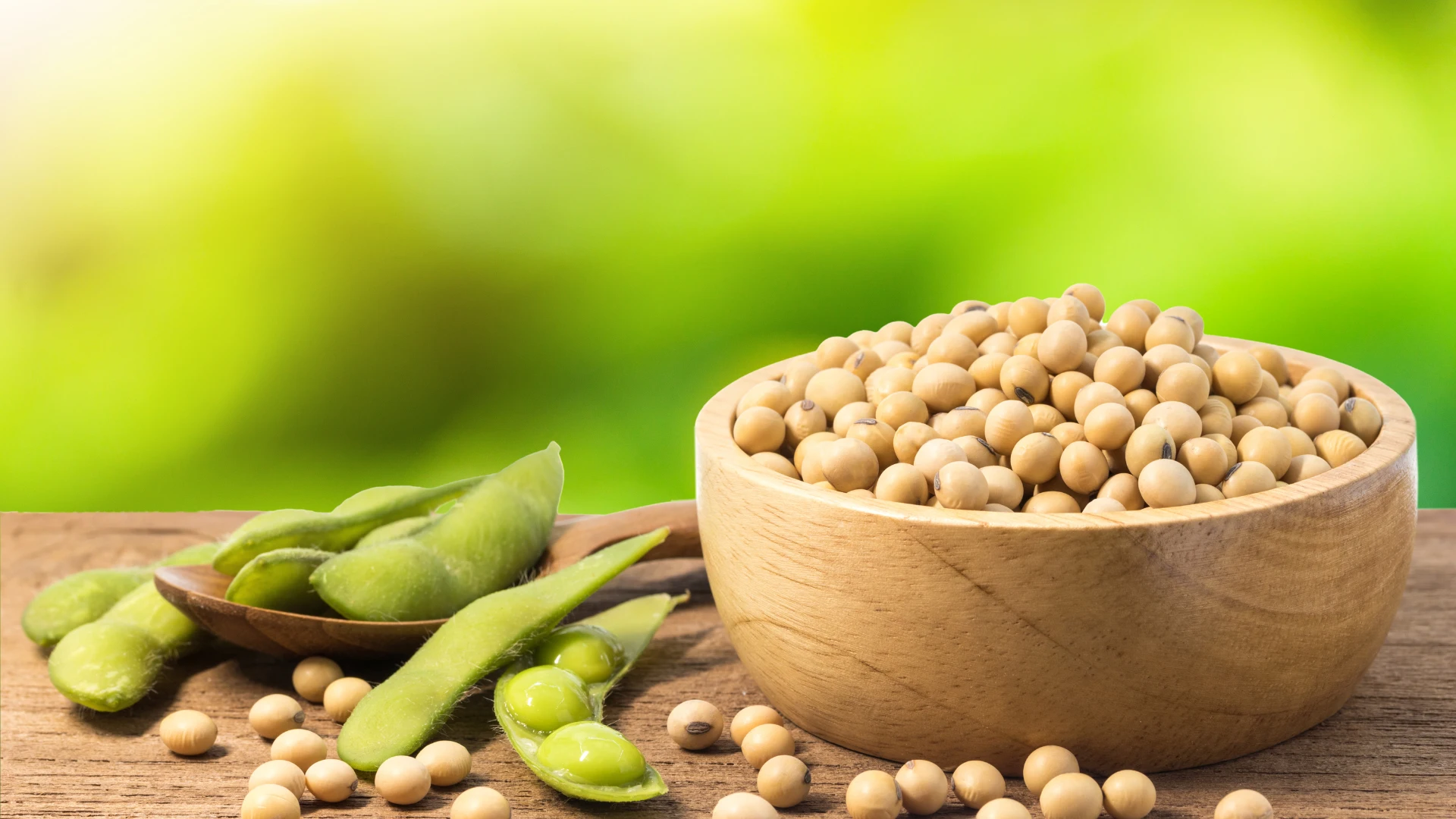 🌱 Soja & testostérone : faut-il vraiment s’en méfier ?