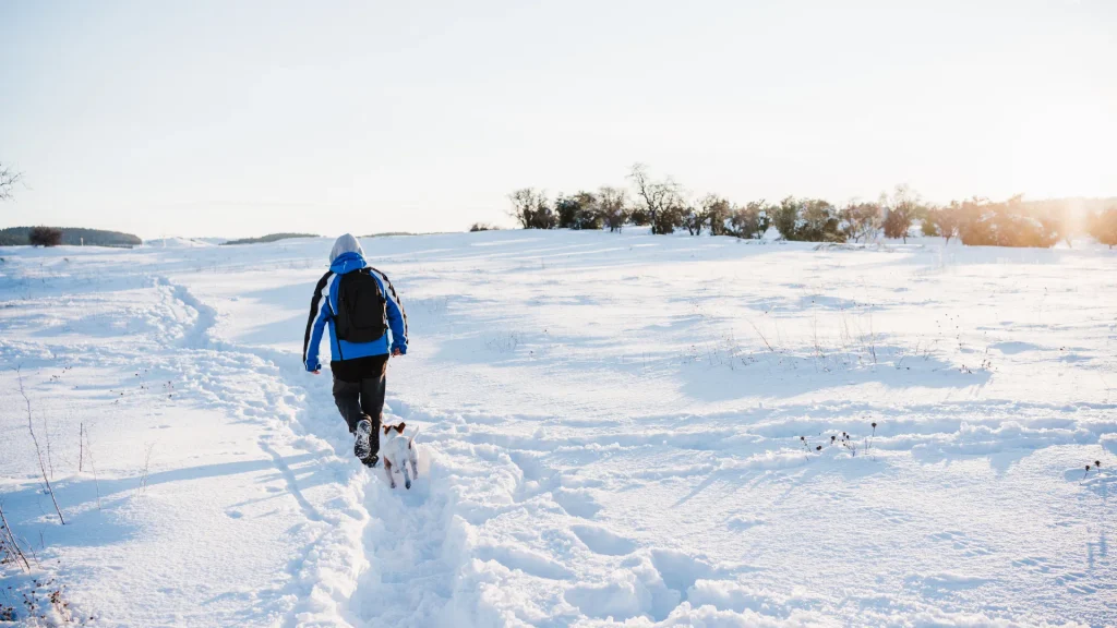 Personne marchant dans la neige avec un chien lors d’une exposition au froid