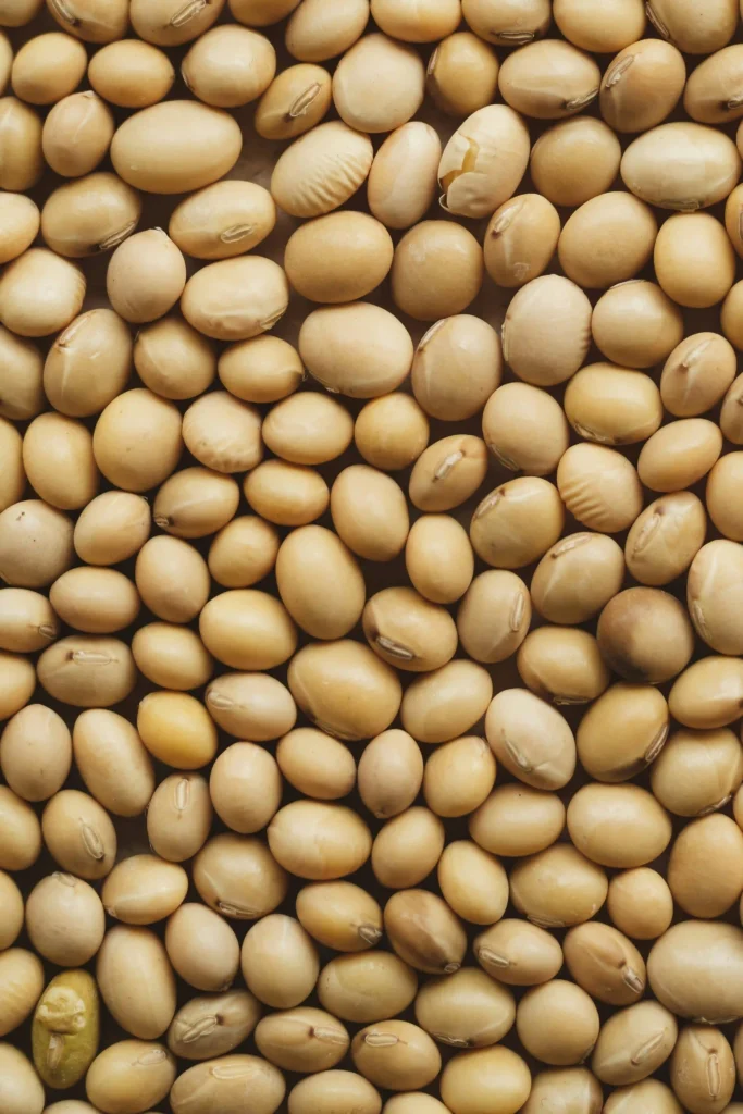 gros plan sur des grains de soja entiers