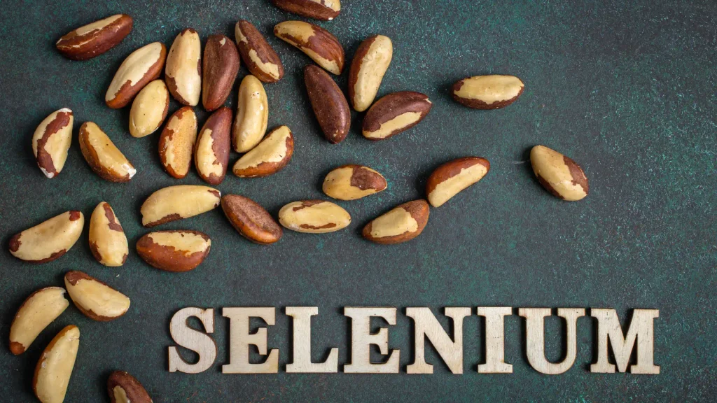 Les noix du Brésil, une source concentrée de sélénium Noix du Brésil riches en sélénium, disposées autour de l’inscription « Selenium »