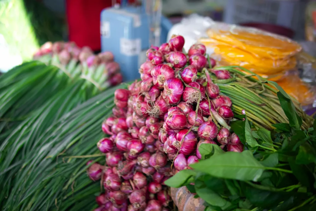 Oignons rouges riches en quercétine, un flavonoïde associé aux effets antioxydants et à l’équilibre hormonal